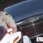 DUI Checkpoint and What to Expect