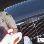 DUI Checkpoints and Independence Day