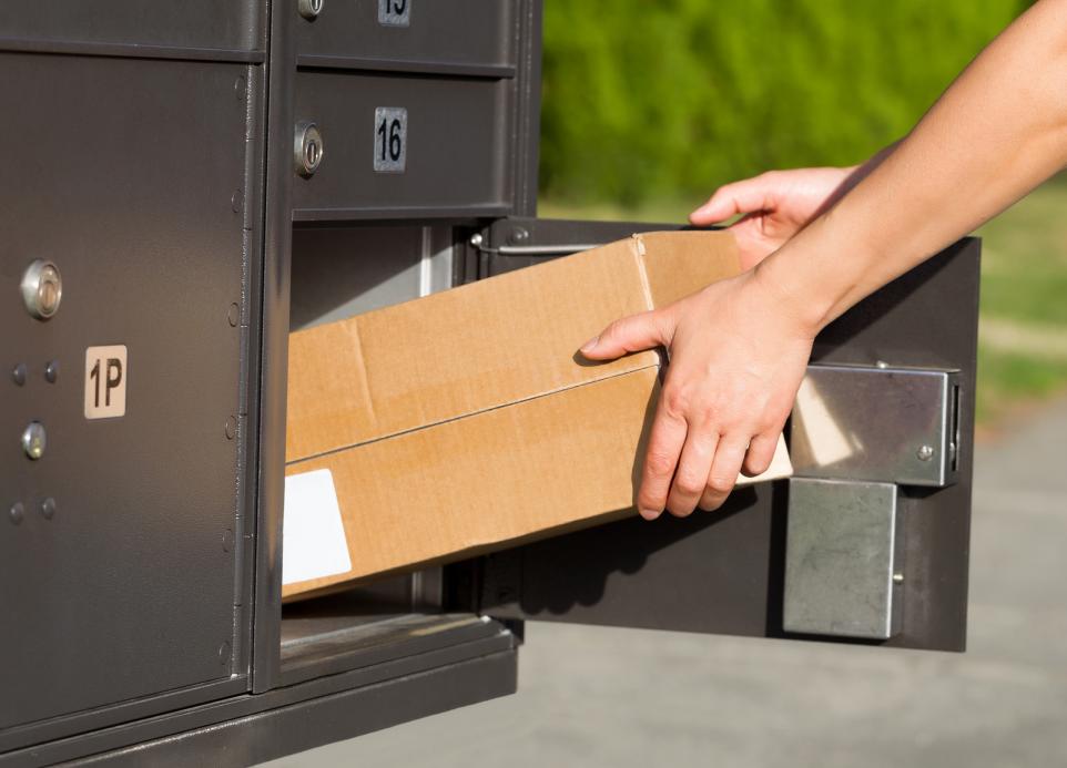 mail theft laws in the us